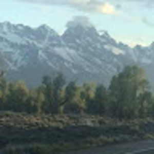 Meet your Posher, Dawn